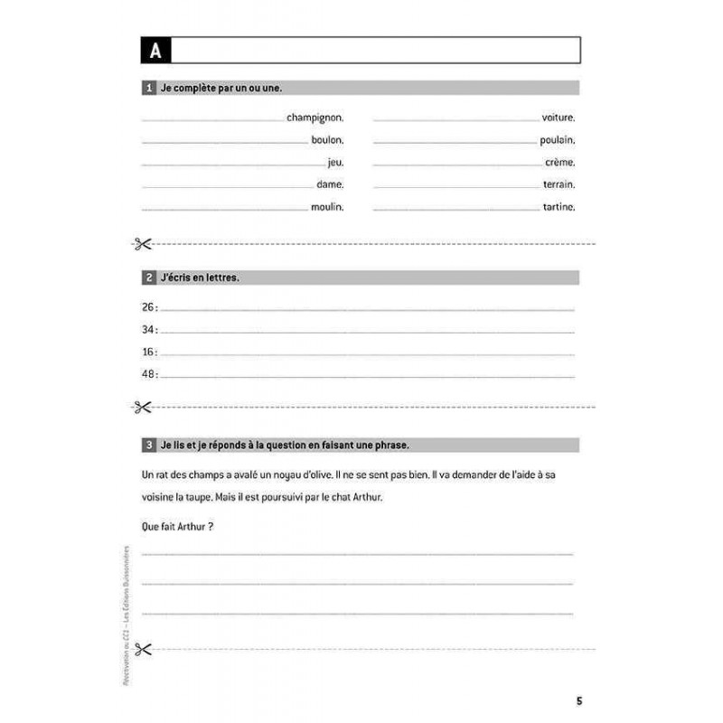 9782849263839 - RÉACTIVATION AU CE1