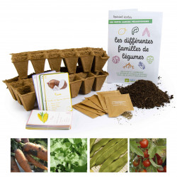 3598760372767 - COFFRET DE LA GRAINE ? L'ASSIETTE
