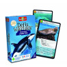 3569160280013 - D?FIS NATURE : ANIMAUX MARINS