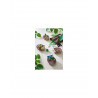 4010168251592 - HERISSONS TOURBILLONS