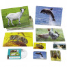 3133093422125 - IMAGIER SONORE DES ANIMAUX