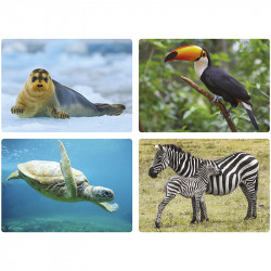 3133093423450 - PHOTOS - ANIMAUX