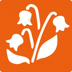 3471052256009 - 6 POCHOIRS FLEURS