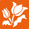 3471052256009 - 6 POCHOIRS FLEURS