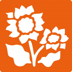 3471052256009 - 6 POCHOIRS FLEURS