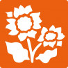 3471052256009 - 6 POCHOIRS FLEURS