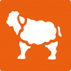 3471052251004 - 6 POCHOIRS ANIMAUX FERME
