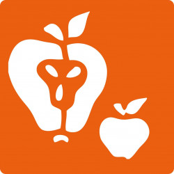 3471052259000 - 6 POCHOIRS FRUITS