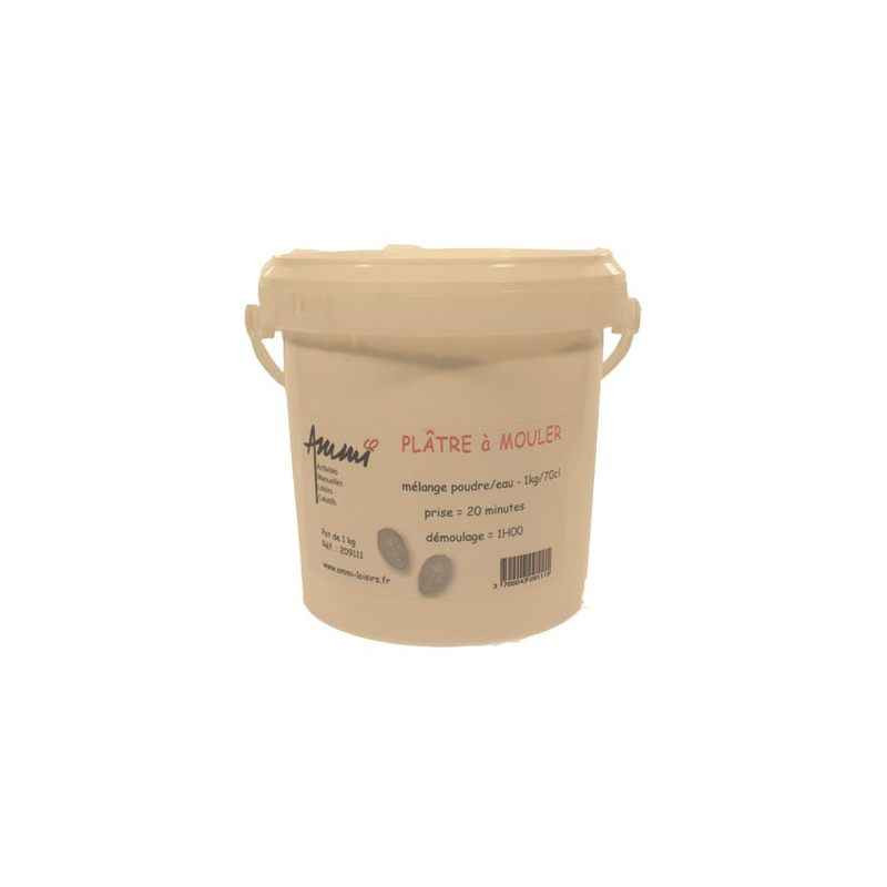 3700043091115 - PLATRE SEAU 1KG
