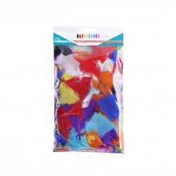 3701385301504 - PLUMES COLORIS ASSORTIS 25G