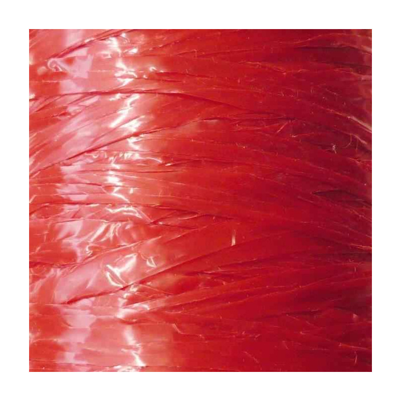 3532432401591 - RAPHIA SYNTH?TIQUE 125G ROUGE
