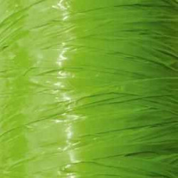 3532432401515 - RAPHIA SYNTH?TIQUE 125G VERT