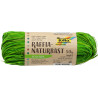 3065501960502 - RAPHIA VÉGÉTAL PELOTE 50G VERT