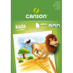 3148950015242 - CANSON BLOC DESSIN BLANC A5 90G 30F