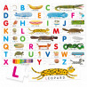 8059591421215 - ALPHABET TACTILE MONTESSORI
