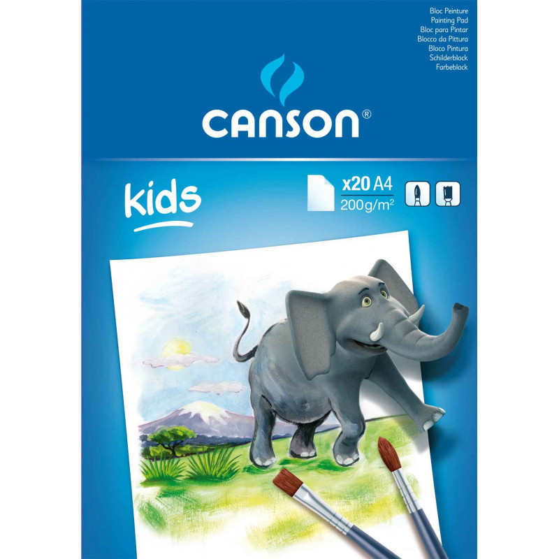3148950015297 - CANSON BLOC PEINTURE BLANC A4 200G 20F