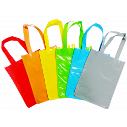 3701385300989 - 6 SACS TETE BAG NON TISSÉ + FENÊTRE PVC