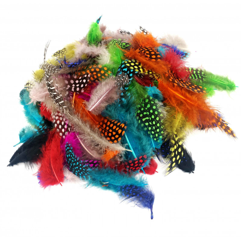 3900007812002 - PLUMES FAISAN COLORIS ASSORTIS 10G