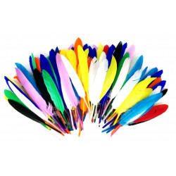 3701385302143 - 1000 PLUMES FORMES,TAILLES ET COLORIS ASSORTIS