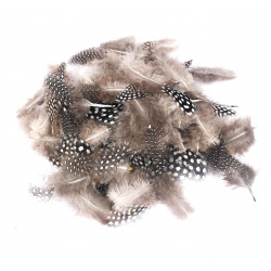 3701385302143 - 1000 PLUMES FORMES,TAILLES ET COLORIS ASSORTIS