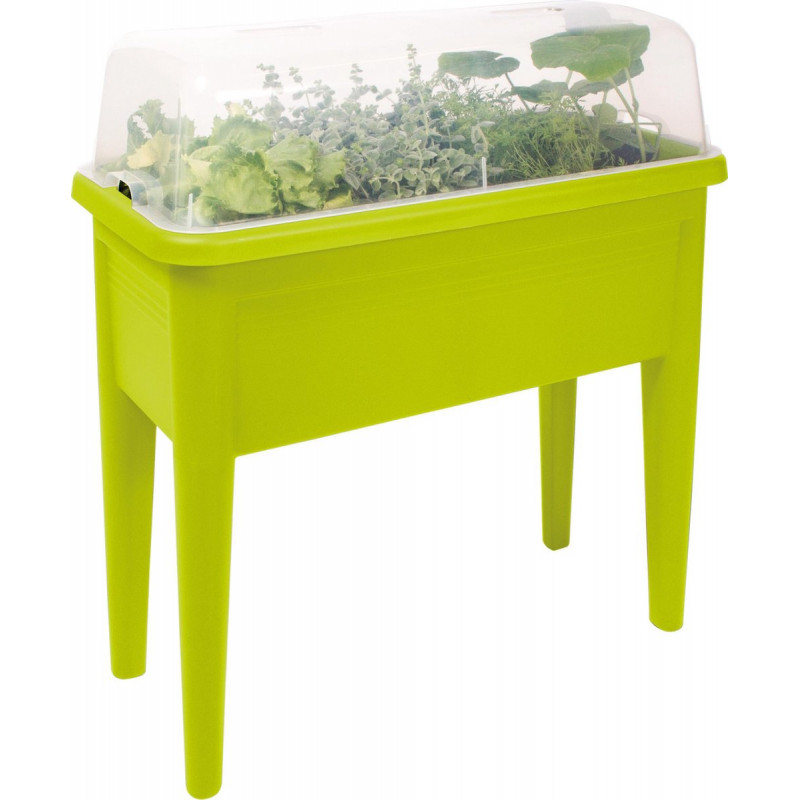 4260586156607 - GRANDE JARDINIÈRE