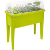 4260586156607 - GRANDE JARDINIÈRE