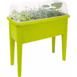 4260586156607 - GRANDE JARDINIÈRE