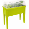 4260586156607 - GRANDE JARDINIÈRE