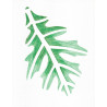66960586237 - 12 POCHOIRS LES FEUILLES