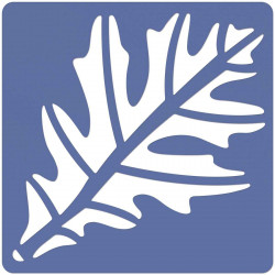 66960586237 - 12 POCHOIRS LES FEUILLES