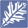66960586237 - 12 POCHOIRS LES FEUILLES