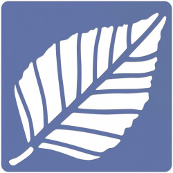 66960586237 - 12 POCHOIRS LES FEUILLES