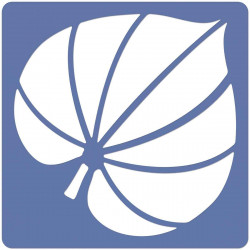 66960586237 - 12 POCHOIRS LES FEUILLES
