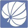 66960586237 - 12 POCHOIRS LES FEUILLES