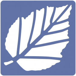 66960586237 - 12 POCHOIRS LES FEUILLES