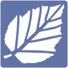 66960586237 - 12 POCHOIRS LES FEUILLES