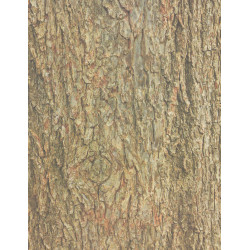 66960152944 - 32F PAPIER IMPRIME FEUILLES ET ?CORCES 22X28CM