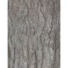 66960152944 - 32F PAPIER IMPRIME FEUILLES ET ?CORCES 22X28CM
