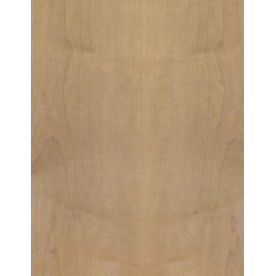 66960152944 - 32F PAPIER IMPRIME FEUILLES ET ?CORCES 22X28CM