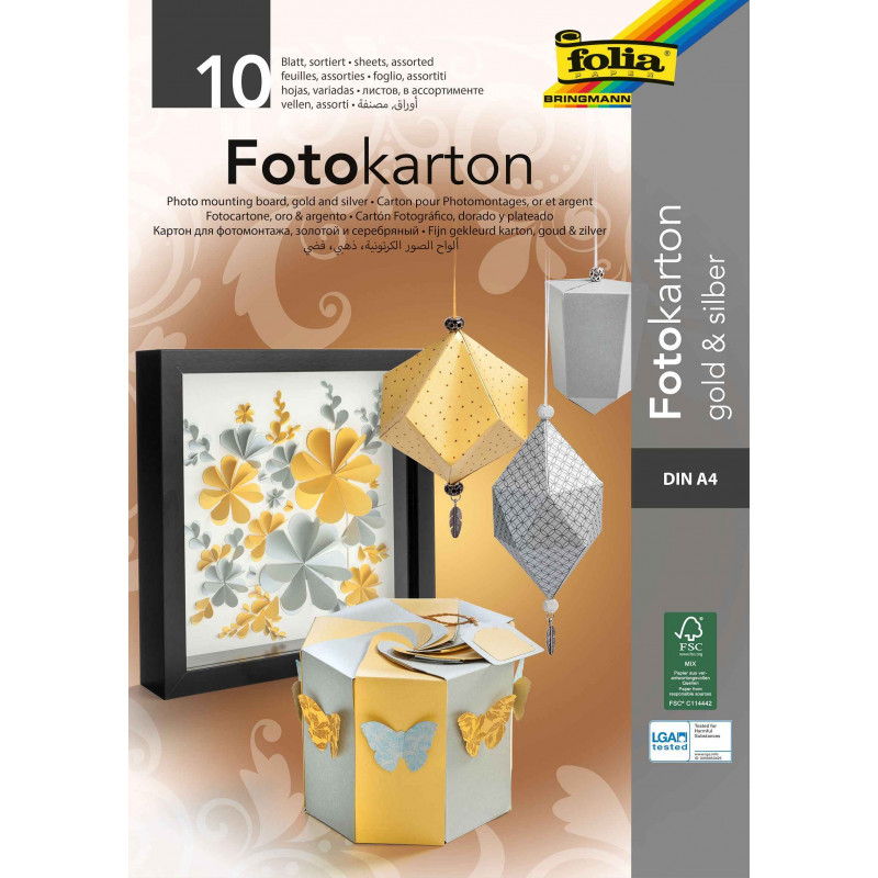 4001868006117 - 10F CARTON 300G 21X29,7CM OR/ARGENT
