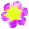 066960024401 - 80F PAPIER DIFFUSEUR FLEURS
