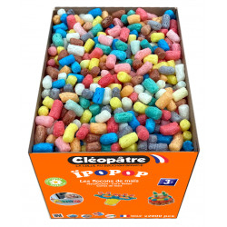 3134725014138 - IPOPOP 2 000 PIÈCES + GUIDE + GRANDE ÉPONGE