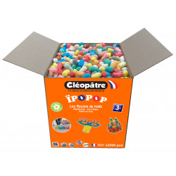3134725014138 - IPOPOP 2 000 PIÈCES + GUIDE + GRANDE ÉPONGE