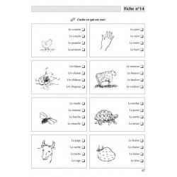 9782909557700 - LECTURES RAPIDES