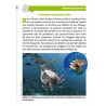 9782849263822 - LES ENQUÊTES ENVIRONNEMENTALES DE L'INSPECTEUR LAFOUINE VOLUME 6