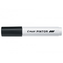 4902505541902 - PINTOR POINTE MOYENNE NOIR