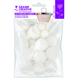 3532434400547 - 24 POMPONS LAINEUX TAILLES ASSORTIS NEIGE