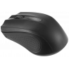 3662277004845 - SOURIS ERGO CONFORT SANS FIL