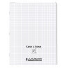 3020120719795 - 10 CAHIERS PP INCOLORE 24X32 96P UNI 90G