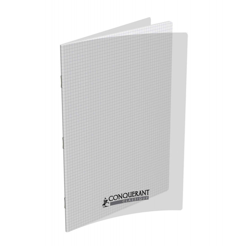 - 10 CAHIERS PP INCOLORE 21X29,7 96P 5X5 90G PIQURE